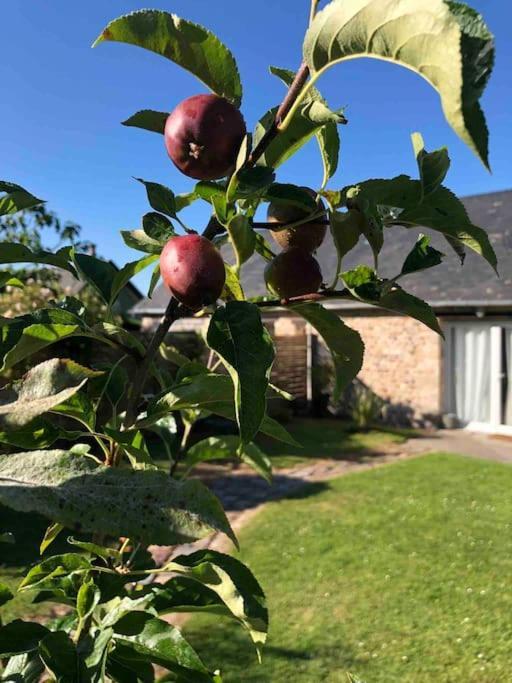 Le Gite D'Eva Honfleur Zewnętrze zdjęcie